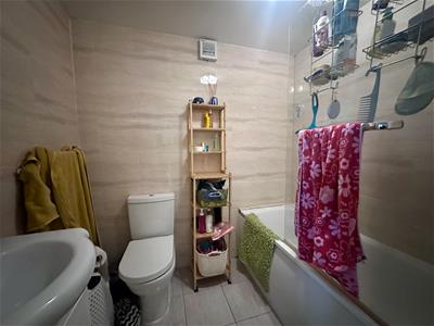 Picture 7